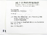 射脈菌屬藏品圖，第2張