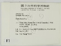 登錄號:F0015426藏品圖，第2張