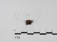 登錄號:F0015426藏品圖，第3張