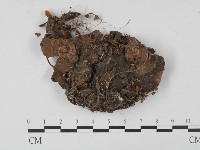 登錄號:F0015428藏品圖，第1張