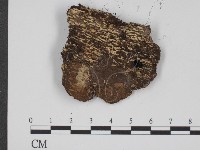 登錄號:F0015428藏品圖，第3張