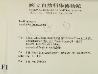 登錄號:F0015430藏品圖，第2張