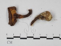 登錄號:F0015431藏品圖，第3張
