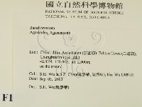 登錄號:F0015432藏品圖，第2張