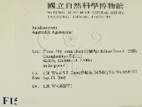 登錄號:F0015434藏品圖，第2張