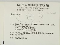 登錄號:F0015436藏品圖，第2張