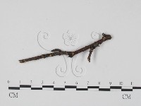 登錄號:F0015436藏品圖，第3張
