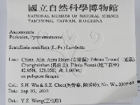 登錄號:F0015438藏品圖，第2張