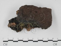 登錄號:F0015438藏品圖，第1張