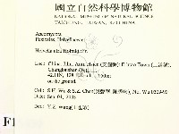 登錄號:F0015439藏品圖，第2張