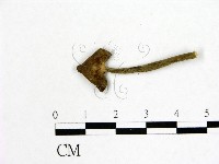 登錄號:F0015439藏品圖，第1張