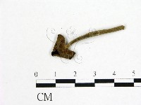 登錄號:F0015439藏品圖，第3張