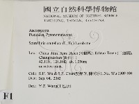 登錄號:F0015440藏品圖，第2張