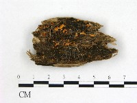 登錄號:F0015441藏品圖，第1張