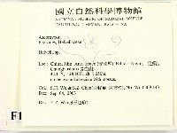 登錄號:F0015443藏品圖，第2張
