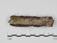 登錄號:F0015445藏品圖，第1張