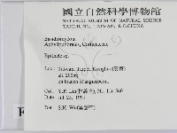 登錄號:F0015446藏品圖，第2張