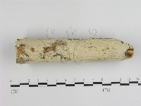 登錄號:F0015446藏品圖，第1張