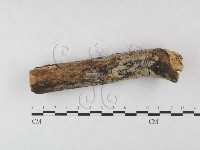 登錄號:F0015447藏品圖，第3張