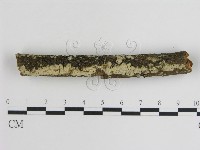 登錄號:F0015448藏品圖，第1張