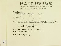 登錄號:F0015450藏品圖，第2張