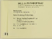 登錄號:F0015451藏品圖，第2張