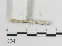 登錄號:F0015451藏品圖，第1張