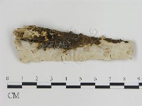 登錄號:F0015452藏品圖，第1張