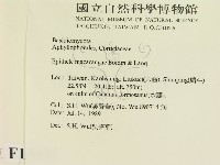 登錄號:F0015453藏品圖，第2張