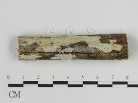 登錄號:F0015453藏品圖，第1張