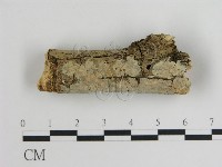 登錄號:F0015454藏品圖，第1張