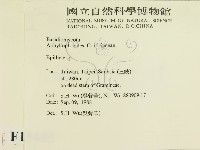 登錄號:F0015455藏品圖，第2張