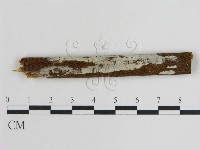 登錄號:F0015458藏品圖，第1張