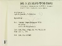 登錄號:F0015460藏品圖，第2張
