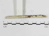 登錄號:F0015461藏品圖，第1張