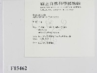 登錄號:F0015462藏品圖，第2張