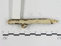 登錄號:F0015463藏品圖，第1張