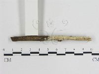 登錄號:F0015465藏品圖，第1張