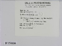 登錄號:F0015466藏品圖，第2張