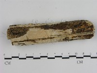 登錄號:F0015466藏品圖，第1張