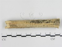 登錄號:F0015467藏品圖，第1張