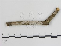 登錄號:F0015470藏品圖，第1張