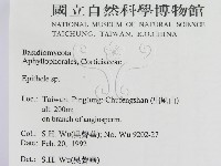 登錄號:F0015471藏品圖，第2張