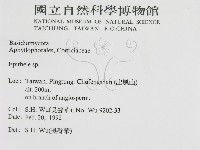 登錄號:F0015473藏品圖，第2張