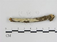 登錄號:F0015474藏品圖，第1張
