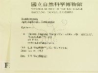 登錄號:F0015475藏品圖，第2張