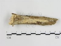 登錄號:F0015475藏品圖，第1張