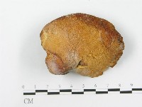 登錄號:F0015477藏品圖，第3張