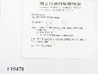 多孔菌屬藏品圖，第2張
