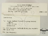 登錄號:F0015479藏品圖，第2張
